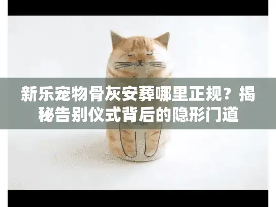 新乐宠物骨灰安葬哪里正规？揭秘告别仪式背后的隐形门道