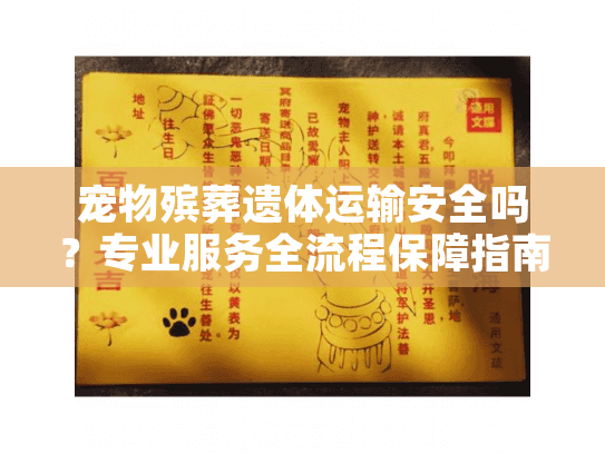 宠物殡葬遗体运输安全吗？专业服务全流程保障指南