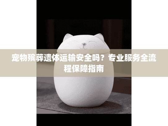 宠物殡葬遗体运输安全吗？专业服务全流程保障指南