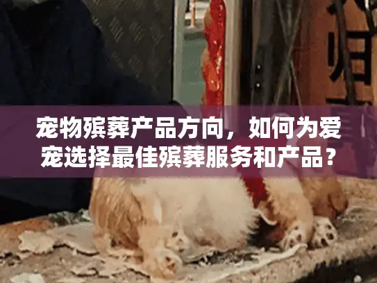 宠物殡葬产品方向，如何为爱宠选择最佳殡葬服务和产品？