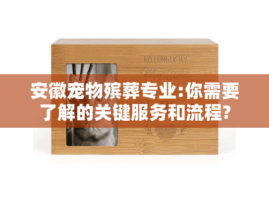 安徽宠物殡葬专业:你需要了解的关键服务和流程?