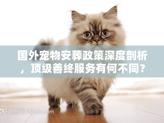 国外宠物安葬政策深度剖析,顶级善终服务有何不同? 国外宠物安葬政策深度剖析,顶级善终服务有何不同?