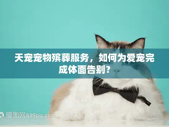 天宠宠物殡葬服务，如何为爱宠完成体面告别？