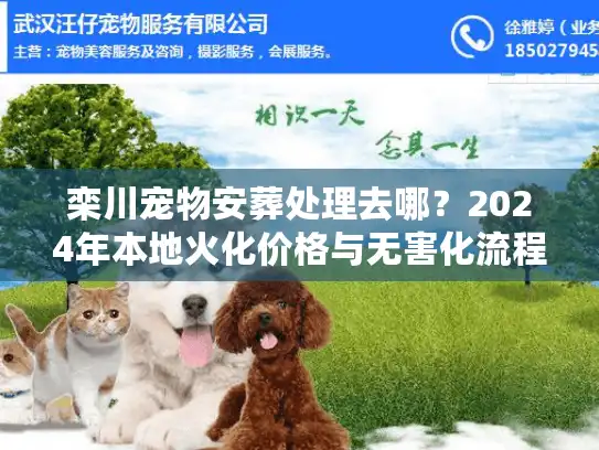 栾川宠物安葬处理去哪？2024年本地火化价格与无害化流程
