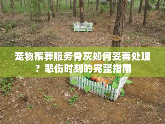 宠物殡葬服务骨灰如何妥善处理？悲伤时刻的完整指南