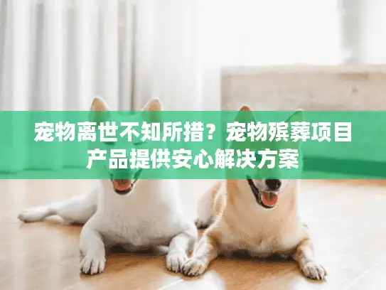 宠物离世不知所措？宠物殡葬项目产品提供安心解决方案