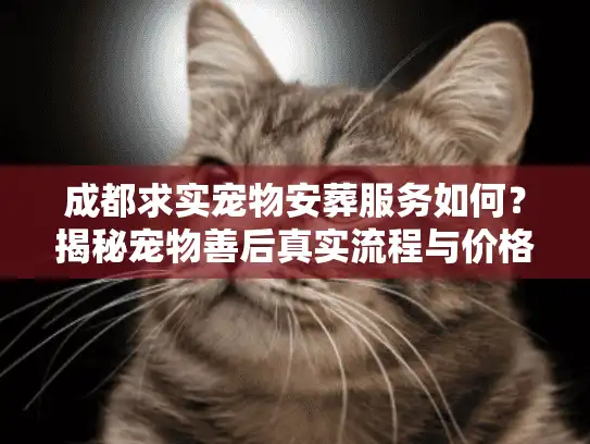 成都求实宠物安葬服务如何？揭秘宠物善后真实流程与价格