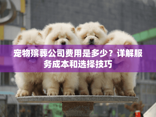 宠物殡葬公司费用是多少？详解服务成本和选择技巧