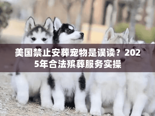 美国禁止安葬宠物是误读？2025年合法殡葬服务实操