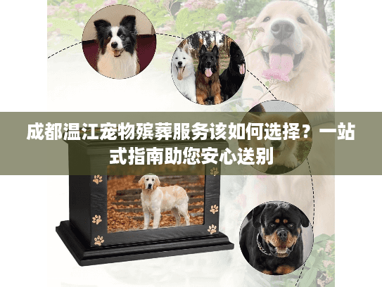 成都温江宠物殡葬服务该如何选择?一站式指南助您安心送别 成都温江宠物殡葬服务该如何选择?一站式指南助您安心送别