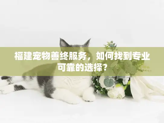 福建宠物善终服务，如何找到专业可靠的选择？