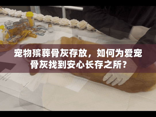 宠物殡葬骨灰存放，如何为爱宠骨灰找到安心长存之所？