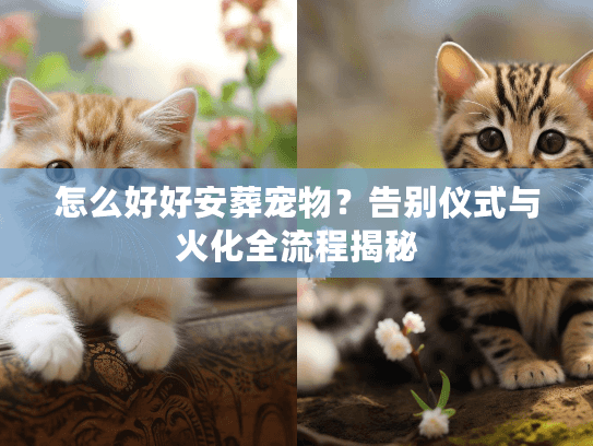 怎么好好安葬宠物？告别仪式与火化全流程揭秘