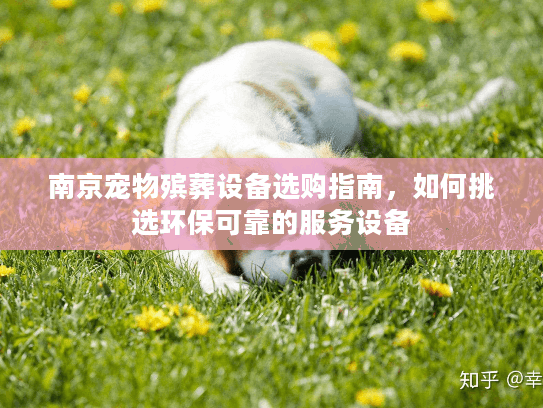 南京宠物殡葬设备选购指南，如何挑选环保可靠的服务设备