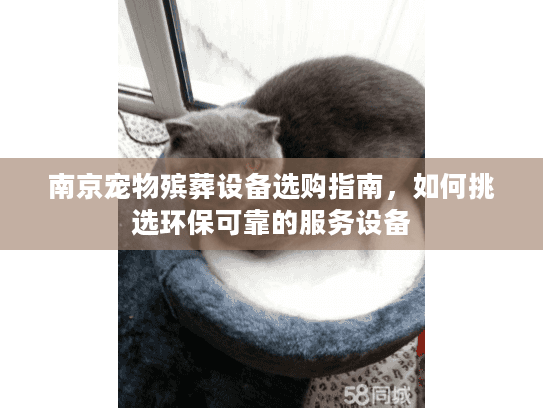 南京宠物殡葬设备选购指南，如何挑选环保可靠的服务设备