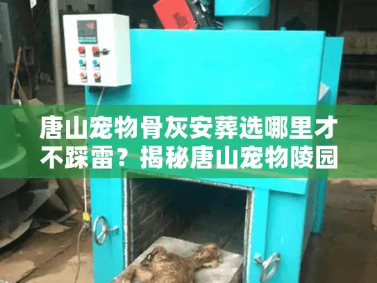 唐山宠物骨灰安葬选哪里才不踩雷？揭秘唐山宠物陵园的稀缺资源与价格内幕