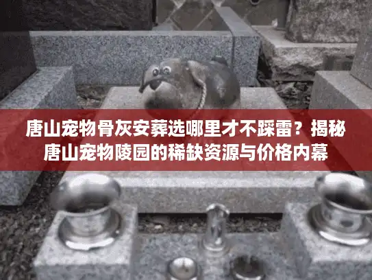 唐山宠物骨灰安葬选哪里才不踩雷？揭秘唐山宠物陵园的稀缺资源与价格内幕