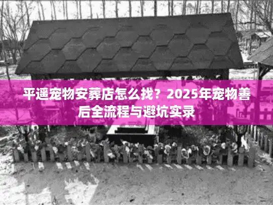 平遥宠物安葬店怎么找？2025年宠物善后全流程与避坑实录