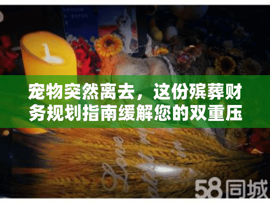 宠物突然离去，这份殡葬财务规划指南缓解您的双重压力