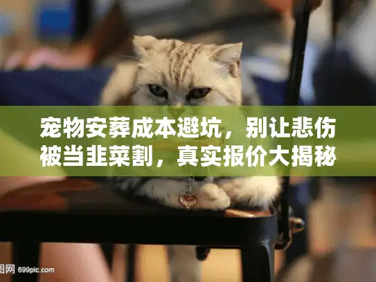 宠物安葬成本避坑，别让悲伤被当韭菜割，真实报价大揭秘