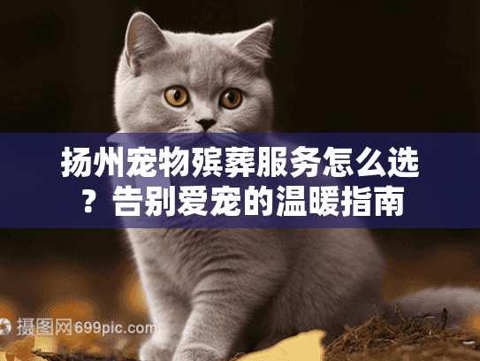 扬州宠物殡葬服务怎么选？告别爱宠的温暖指南