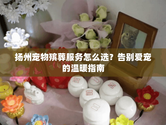 扬州宠物殡葬服务怎么选？告别爱宠的温暖指南