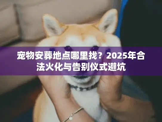 宠物安葬地点哪里找？2025年合法火化与告别仪式避坑
