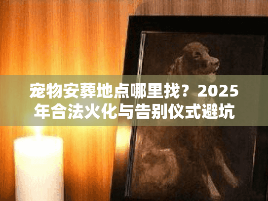 宠物安葬地点哪里找？2025年合法火化与告别仪式避坑