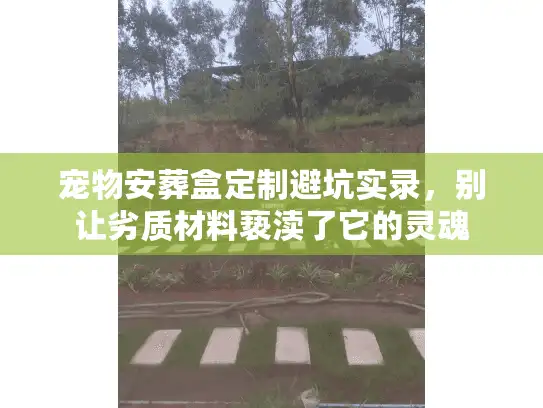 宠物安葬盒定制避坑实录，别让劣质材料亵渎了它的灵魂