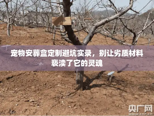 宠物安葬盒定制避坑实录，别让劣质材料亵渎了它的灵魂