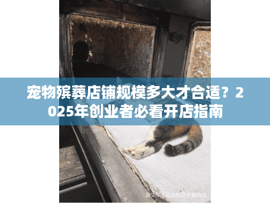宠物殡葬店铺规模多大才合适？2025年创业者必看开店指南
