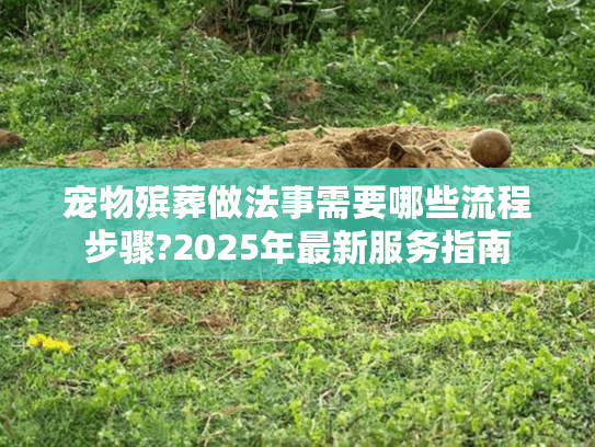 宠物殡葬做法事需要哪些流程步骤?2025年最新服务指南