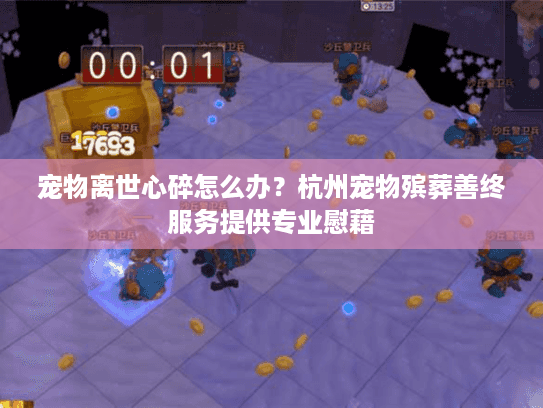 宠物离世心碎怎么办？杭州宠物殡葬善终服务提供专业慰藉