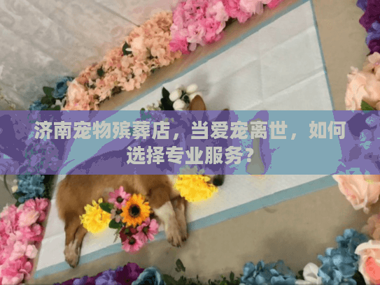 济南宠物殡葬店，当爱宠离世，如何选择专业服务？