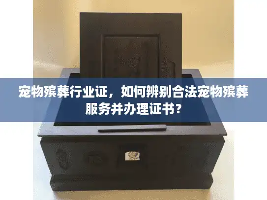 宠物殡葬行业证，如何辨别合法宠物殡葬服务并办理证书？