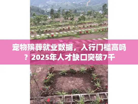 宠物殡葬就业数据,入行门槛高吗?2025年人才缺口突破7千 宠物殡葬就业数据,入行门槛高吗?2025年人才缺口突破7千