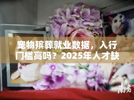 宠物殡葬就业数据,入行门槛高吗?2025年人才缺口突破7千 宠物殡葬就业数据,入行门槛高吗?2025年人才缺口突破7千