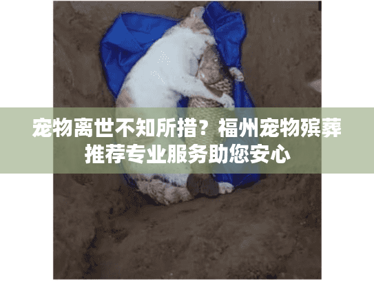 宠物离世不知所措？福州宠物殡葬推荐专业服务助您安心
