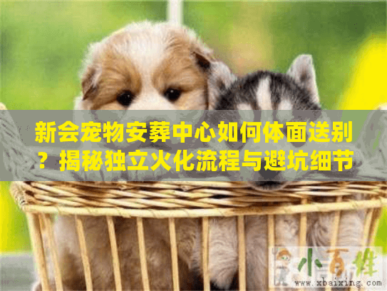 新会宠物安葬中心如何体面送别?揭秘独立火化流程与避坑细节 新会宠物安葬中心如何体面送别?揭秘独立火化流程与避坑细节