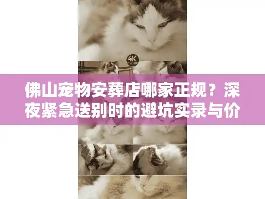 佛山宠物安葬店哪家正规？深夜紧急送别时的避坑实录与价格内幕