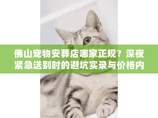 佛山宠物安葬店哪家正规？深夜紧急送别时的避坑实录与价格内幕
