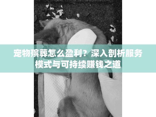 宠物殡葬怎么盈利？深入剖析服务模式与可持续赚钱之道
