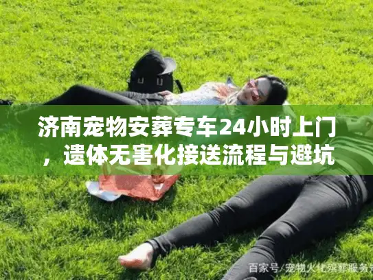 济南宠物安葬专车24小时上门，遗体无害化接送流程与避坑实录