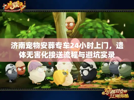 济南宠物安葬专车24小时上门，遗体无害化接送流程与避坑实录