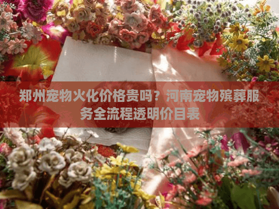 郑州宠物火化价格贵吗？河南宠物殡葬服务全流程透明价目表