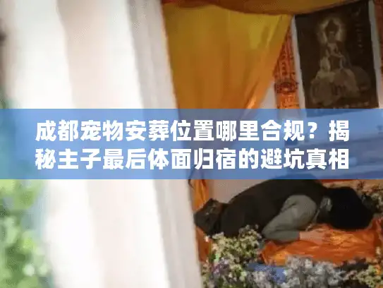 成都宠物安葬位置哪里合规？揭秘主子最后体面归宿的避坑真相