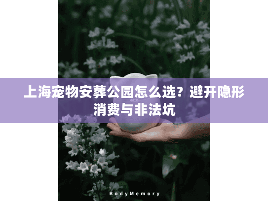 上海宠物安葬公园怎么选？避开隐形消费与非法坑