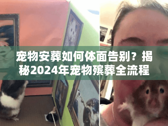 宠物安葬如何体面告别？揭秘2024年宠物殡葬全流程与避坑细节