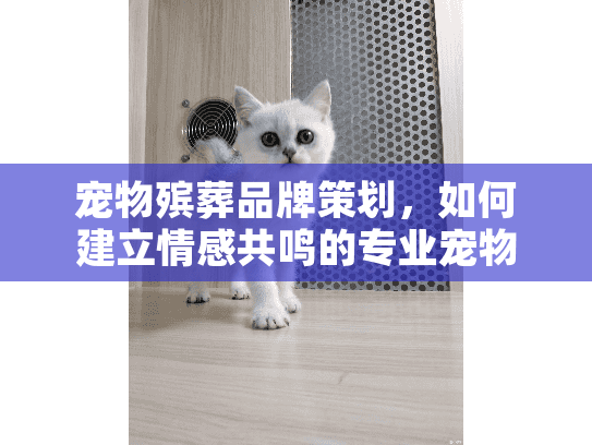 宠物殡葬品牌策划，如何建立情感共鸣的专业宠物殡葬服务品牌？