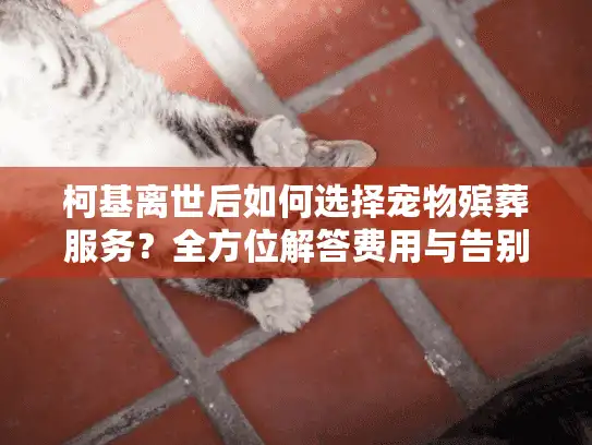 柯基离世后如何选择宠物殡葬服务?全方位解答费用与告别方式 柯基离世后如何选择宠物殡葬服务?全方位解答费用与告别方式